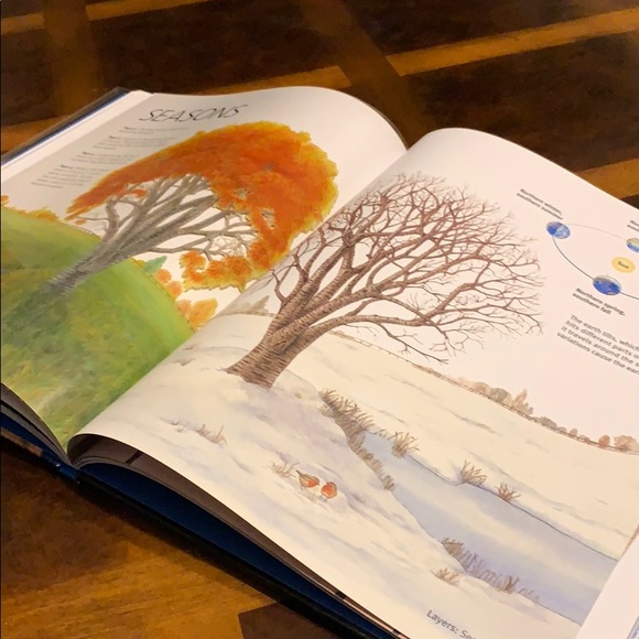 The Wonders Inside The Earth - Picture 5 of 7